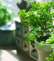 淮安专属于你的开运指南，助你鸿运当头福满身！